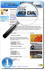 web vizitky